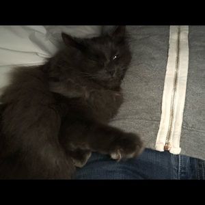 Meet your Posher, Brooke